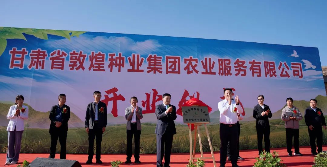 推進制種玉米機械采收 給敦煌種業振興插上科技的翅膀 —— 敦煌種業農業服務有限公司隆重開業 召開機械化采收演示會